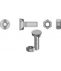 Plough bolt DIN 11014 M12x1,75x35 with hexagon nut