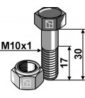 Hexagon bolt M10x1x30 with self-locking nut