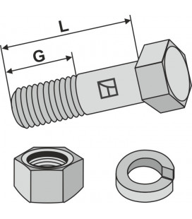 Bolt with nut and split washer - 1/2'UNF x38