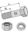 Bolt with nut and split washer - 1/2'UNF x38